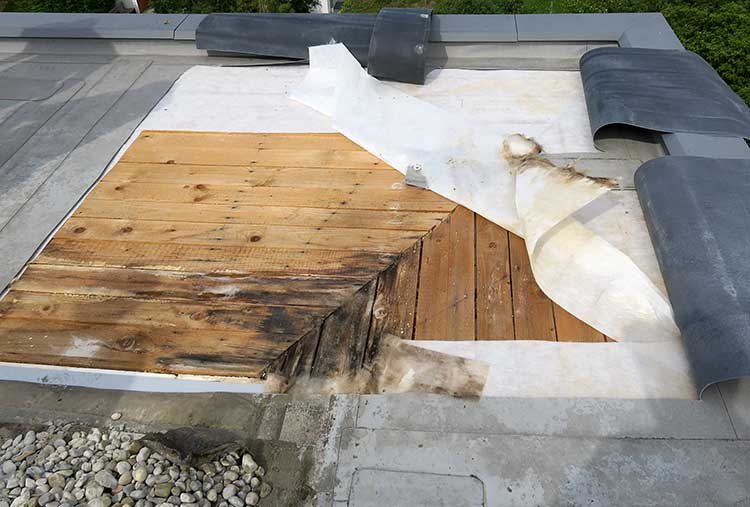Freigelegte Dachfläche mit teilweise entfernten Schichten. Sichtbar sind Holzplatten, die an den Rändern Verfärbungen und Feuchtigkeitsschäden aufweisen.  