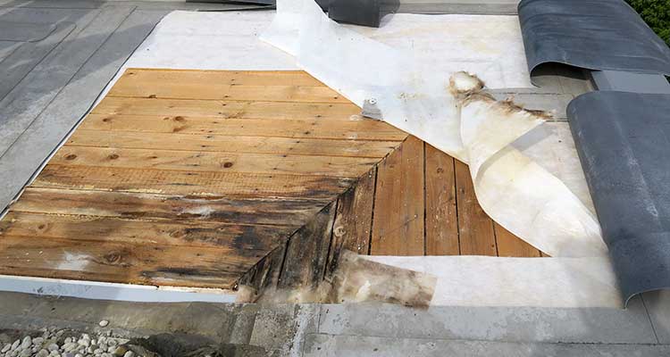 Freigelegte Dachfläche mit teilweise entfernten Schichten. Sichtbar sind Holzplatten, die an den Rändern Verfärbungen und Feuchtigkeitsschäden aufweisen.  