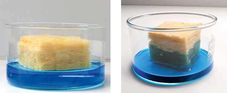 Foto: Zwei gelbliche poröse Würfel aus einem saugfähigen Material in einem flachen Glasgefäß mit blauer Flüssigkeit. Bild links: Der Würfel steht in der Flüssigkeit, der untere Teil erscheint leicht durchtränkt. Bild rechts: Der Würfel ist stärker durchtränkt, etwa die untere Hälfte ist dunkelblau gefärbt. 