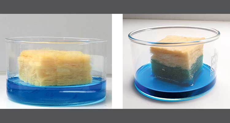 Foto: Zwei gelbliche poröse Würfel aus einem saugfähigen Material in einem flachen Glasgefäß mit blauer Flüssigkeit. Bild links: Der Würfel steht in der Flüssigkeit, der untere Teil erscheint leicht durchtränkt. Bild rechts: Der Würfel ist stärker durchtränkt, etwa die untere Hälfte ist dunkelblau gefärbt. 