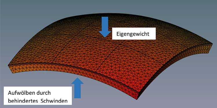 Verformungsverhalten von mit Fliesen belegten Zementestrichen während der Erhärtungsphase