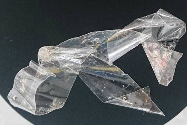 Mikrobiologische Analysen nach Feuchteschäden