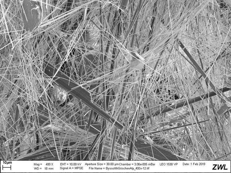 REM-Aufnahme des faserigen Minerals Tremolit