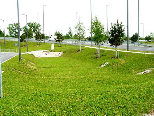 Stadtgrün für Klima- und Hochwasserschutz