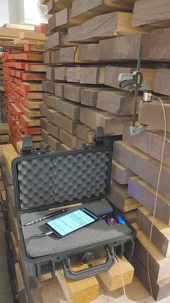 InsectDetect – Messverfahren für holzzerstörende Insektenlarven 