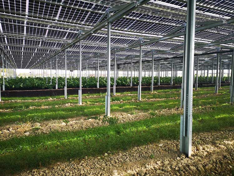 Agri-PV-System »GMS Double« 