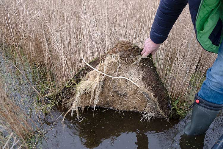 Mitmachaktion »Grünes Wasser«: Renaturierung der Hamburger Fleete mit bepflanzten Schwimminseln 