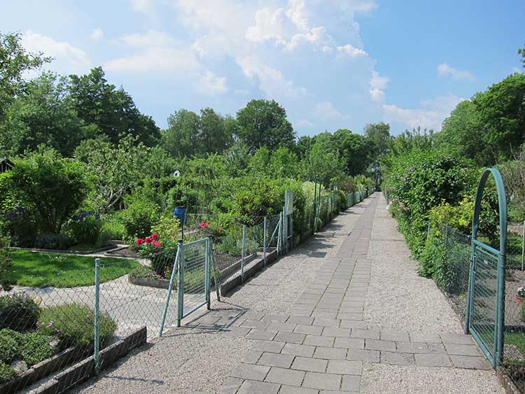 Das Bild zeigt einen gepflasterten Weg in einer Schrebergartenanlage mit Parzellen links und rechts vom Weg. 