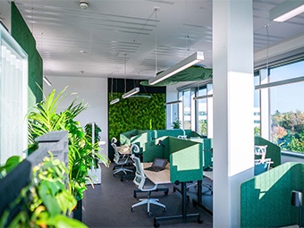Foto: Büro mit mehreren Arbeitsplätzen, ausgestattet mit grünen Trennwänden. Links befinden sich lebende Pflanzen, im Hintergrund eine grüne Mooswand. Große Fenster rechts. Lineare Deckenleuchten sorgen für Beleuchtung. 