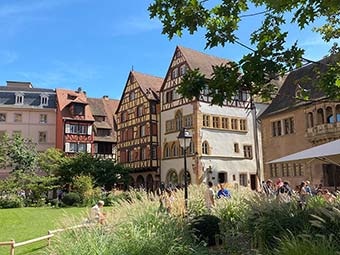 Foto: Historischer Platz mit Fachwerkhäusern und gepflegter Grünfläche. Im Vordergrund Ziergras und ein Baum, im Hintergrund mehrere Gebäude mit Holzfachwerk und Satteldächern.  